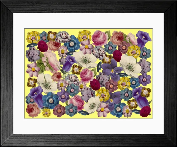 Framed Print : Picture No. 11768765 Framed Print : Picture No. 11768765