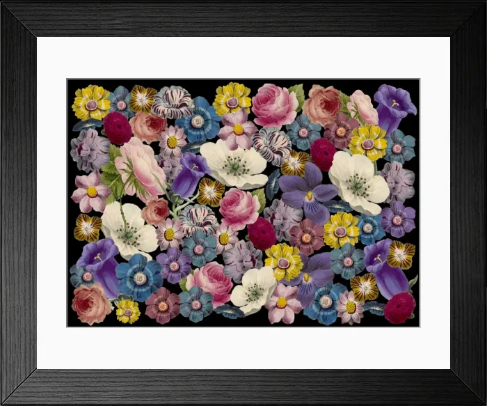 Framed Print : Picture No. 11768762 Framed Print : Picture No. 11768762