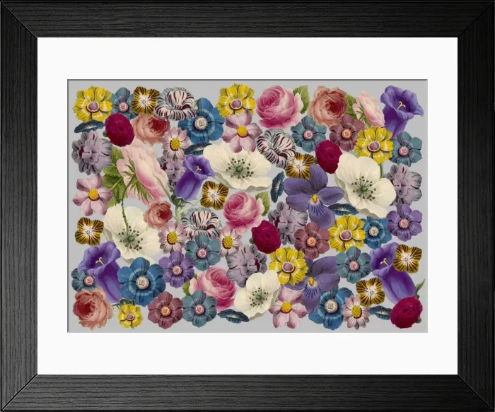 Framed Print : Picture No. 11768767 Framed Print : Picture No. 11768767