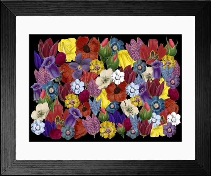 Framed Print : Picture No. 11768780