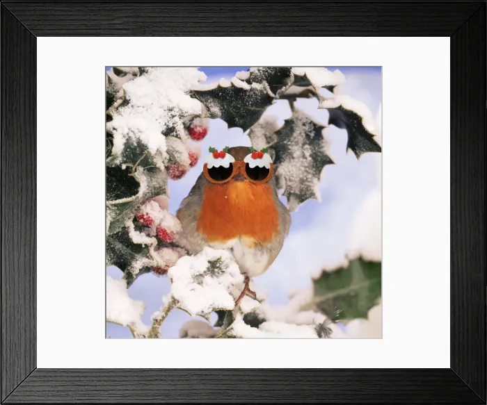 Framed Print : Picture No. 11768820 Framed Print : Picture No. 11768820