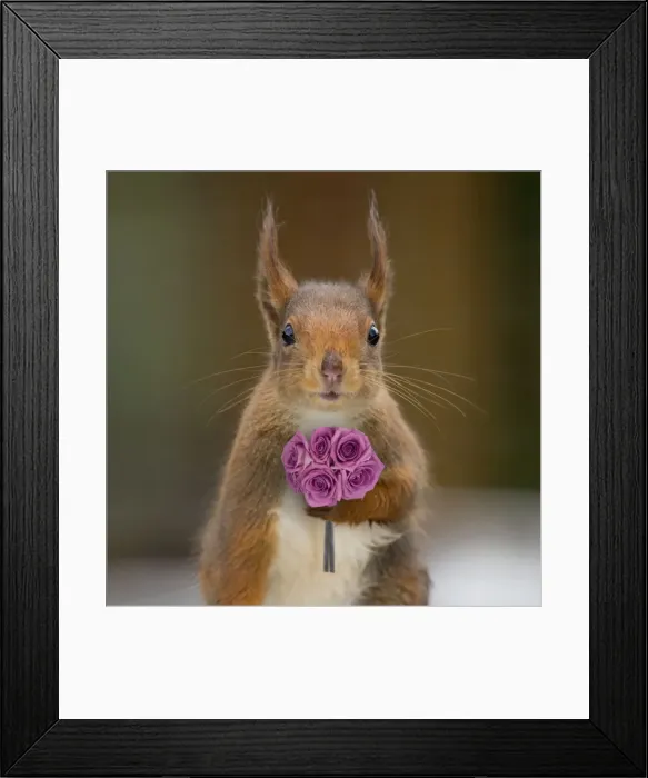 Framed Print : Picture No. 11768826 Framed Print : Picture No. 11768826