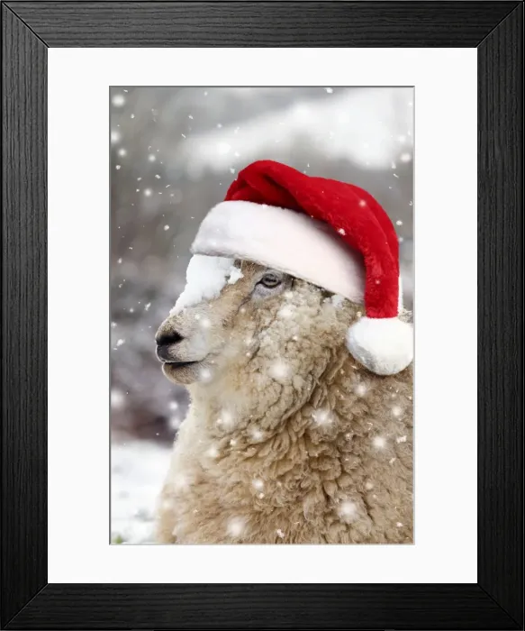 Framed Print : Picture No. 11768827 Framed Print : Picture No. 11768827