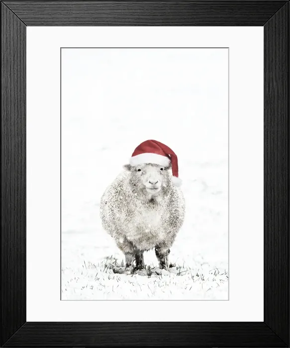 Framed Print : Picture No. 11768828 Framed Print : Picture No. 11768828