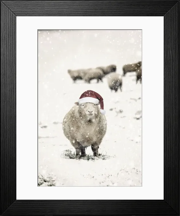 Framed Print : Picture No. 11768829 Framed Print : Picture No. 11768829
