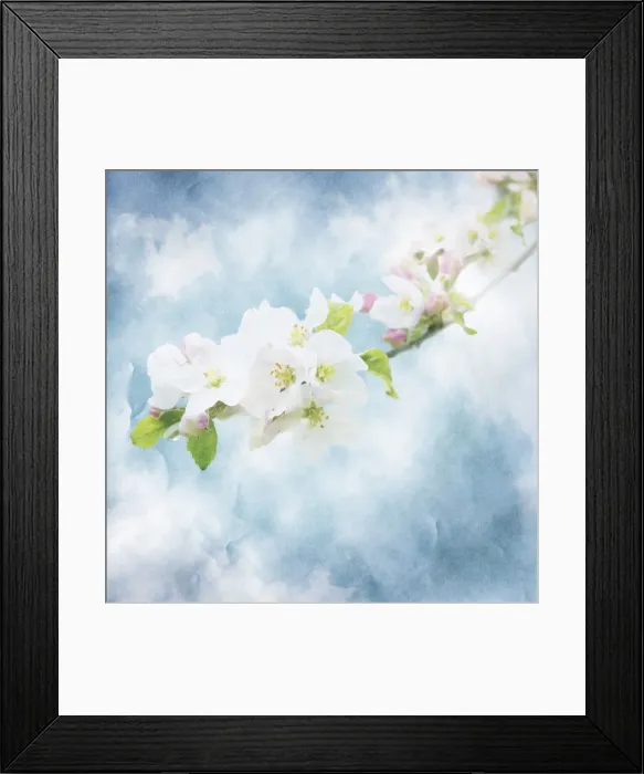 Framed Print : Picture No. 11768830 Framed Print : Picture No. 11768830