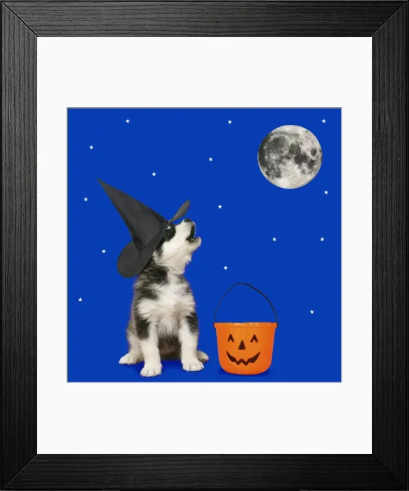 Framed Print : Picture No. 11768862 Framed Print : Picture No. 11768862
