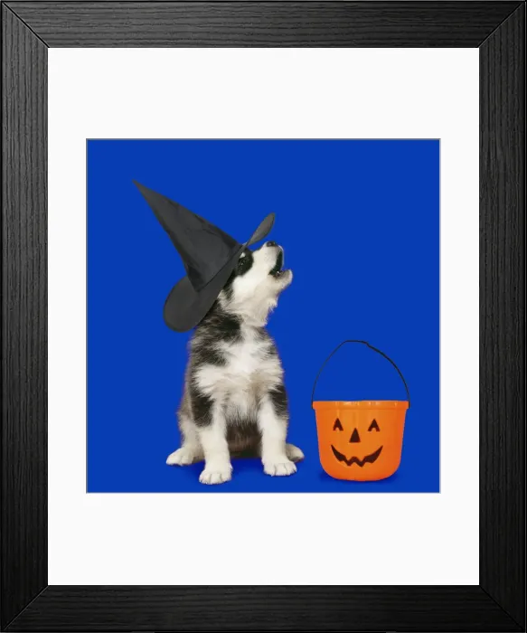 Framed Print : Picture No. 11768861 Framed Print : Picture No. 11768861