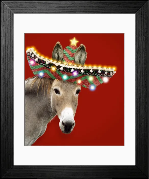 Framed Print : Picture No. 11768864 Framed Print : Picture No. 11768864