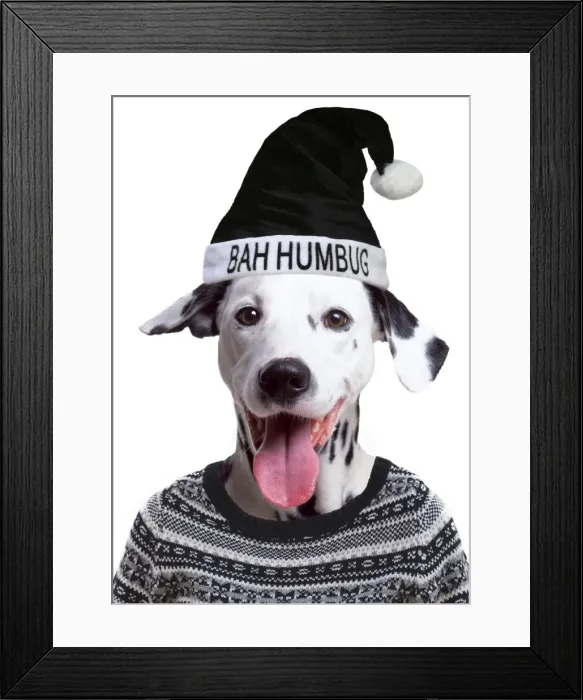 Framed Print : Picture No. 11768865