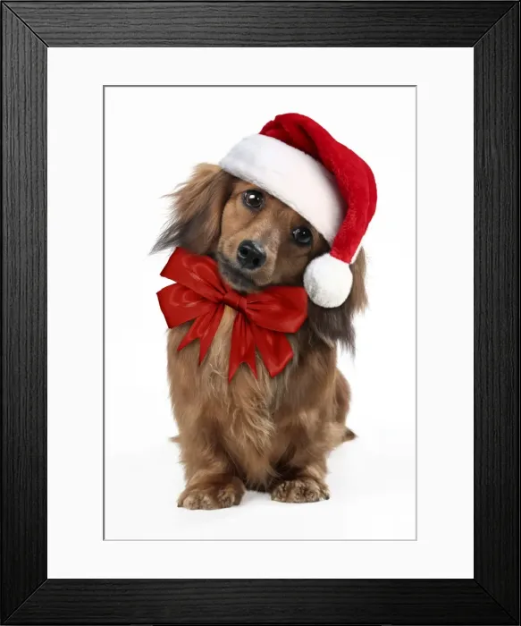 Framed Print : Picture No. 11768869 Framed Print : Picture No. 11768869