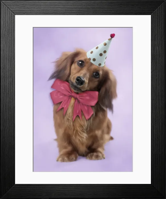 Framed Print : Picture No. 11768870 Framed Print : Picture No. 11768870