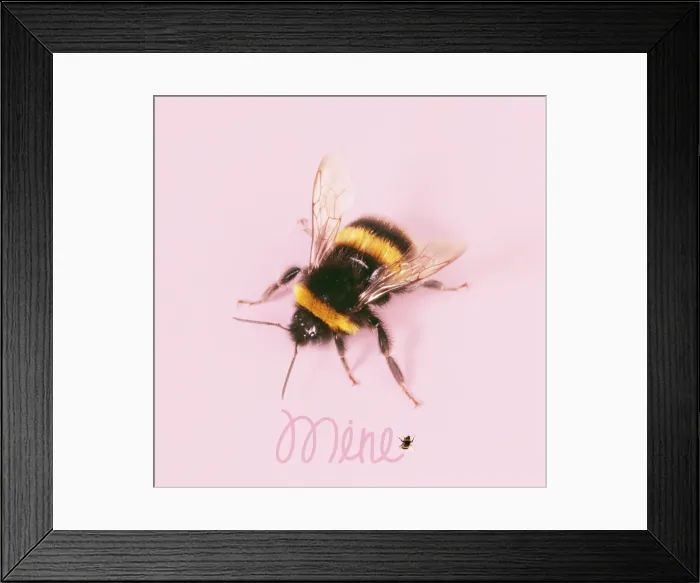 Framed Print : Picture No. 11768871 Framed Print : Picture No. 11768871