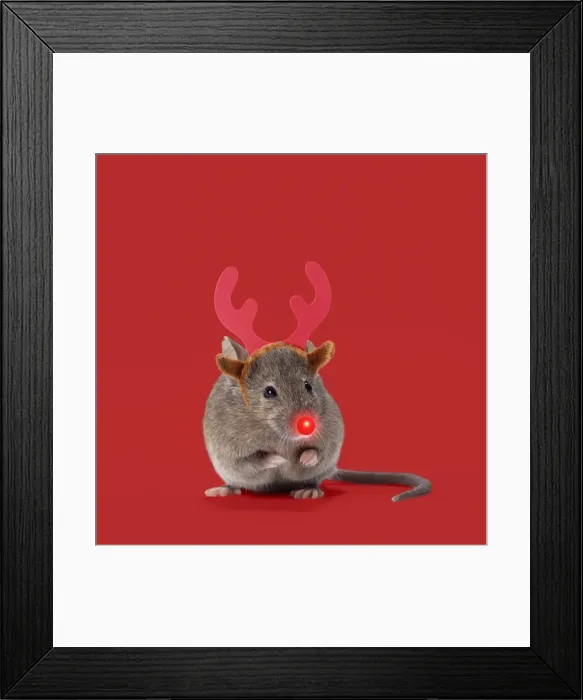 Framed Print : Picture No. 11768873 Framed Print : Picture No. 11768873