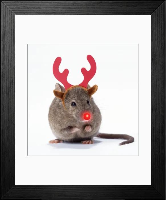 Framed Print : Picture No. 11768874 Framed Print : Picture No. 11768874