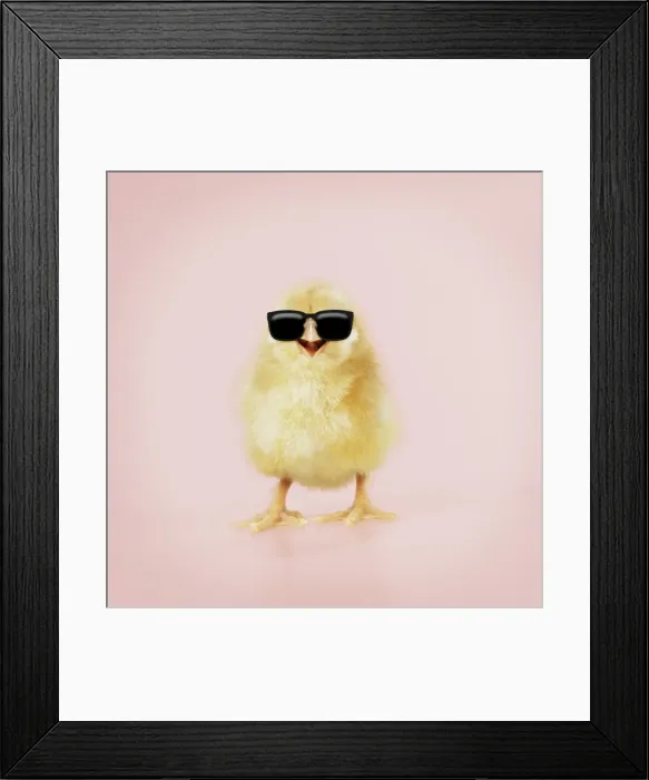 Framed Print : Picture No. 11768876 Framed Print : Picture No. 11768876