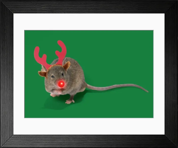 Framed Print : Picture No. 11768879 Framed Print : Picture No. 11768879