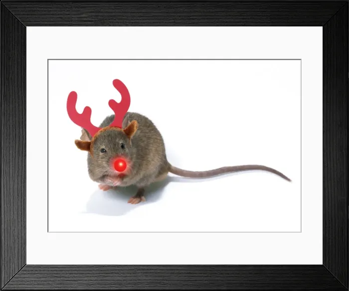 Framed Print : Picture No. 11768878 Framed Print : Picture No. 11768878