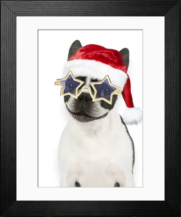 Framed Print : Picture No. 11768882 Framed Print : Picture No. 11768882