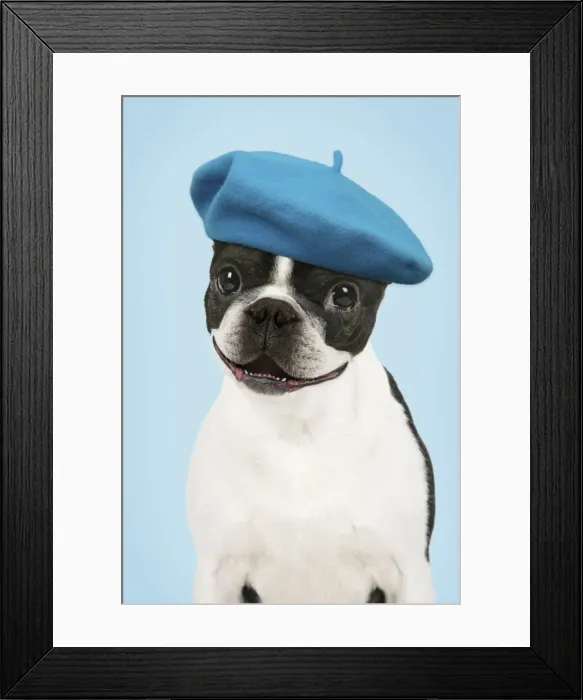 Framed Print : Picture No. 11768883 Framed Print : Picture No. 11768883