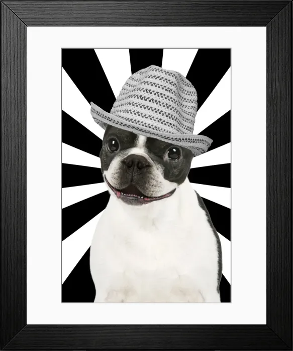 Framed Print : Picture No. 11768884 Framed Print : Picture No. 11768884