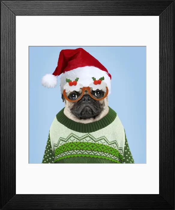 Framed Print : Picture No. 11768891 Framed Print : Picture No. 11768891