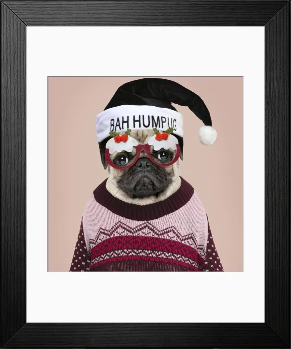 Framed Print : Picture No. 11768892 Framed Print : Picture No. 11768892