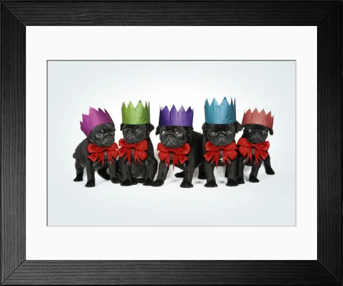 Framed Print : Picture No. 11768895 Framed Print : Picture No. 11768895