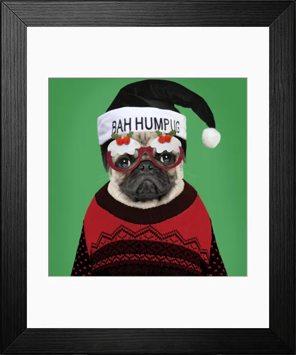 Framed Print : Picture No. 11768890 Framed Print : Picture No. 11768890