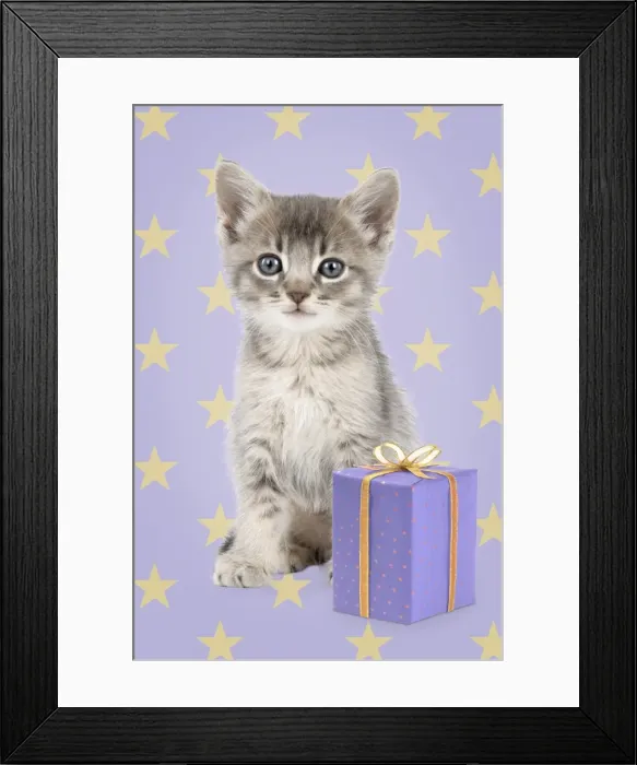 Framed Print : Picture No. 11768900 Framed Print : Picture No. 11768900