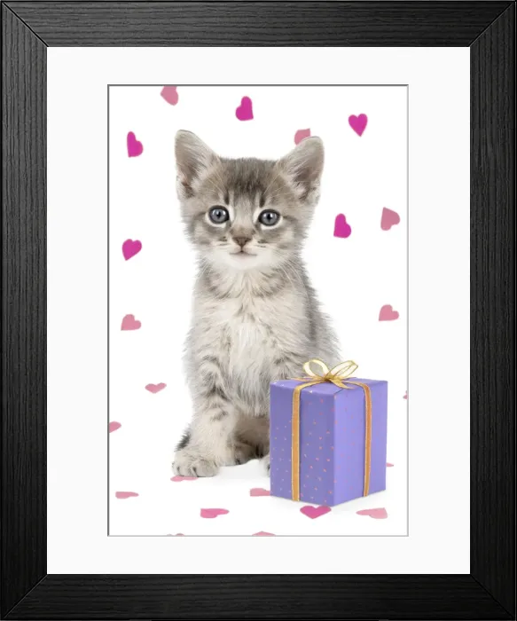 Framed Print : Picture No. 11768901 Framed Print : Picture No. 11768901