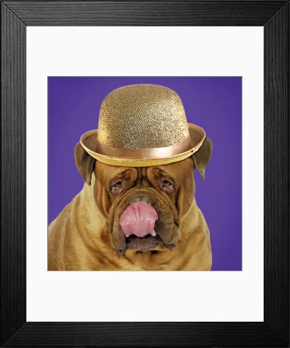 Framed Print : Picture No. 11768905 Framed Print : Picture No. 11768905