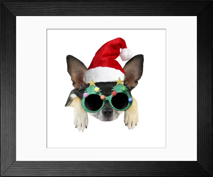 Framed Print : Picture No. 11768909 Framed Print : Picture No. 11768909