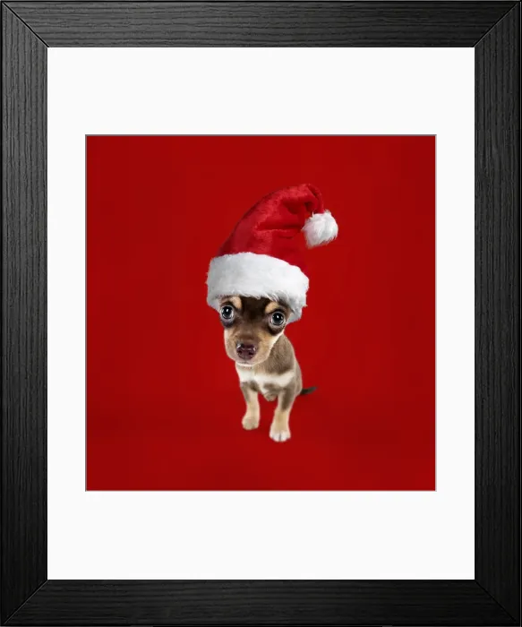 Framed Print : Picture No. 11768910 Framed Print : Picture No. 11768910
