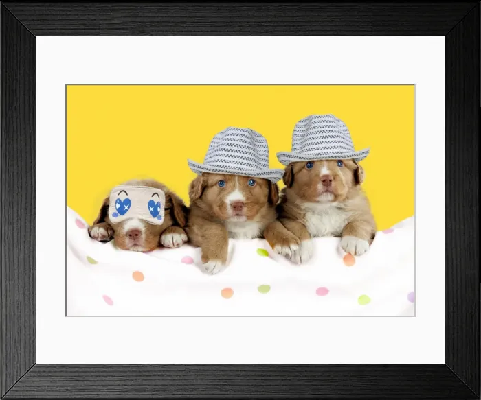 Framed Print : Picture No. 11768911 Framed Print : Picture No. 11768911