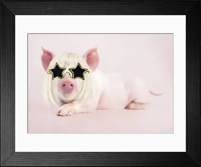 Framed Print : Picture No. 11768919 Framed Print : Picture No. 11768919
