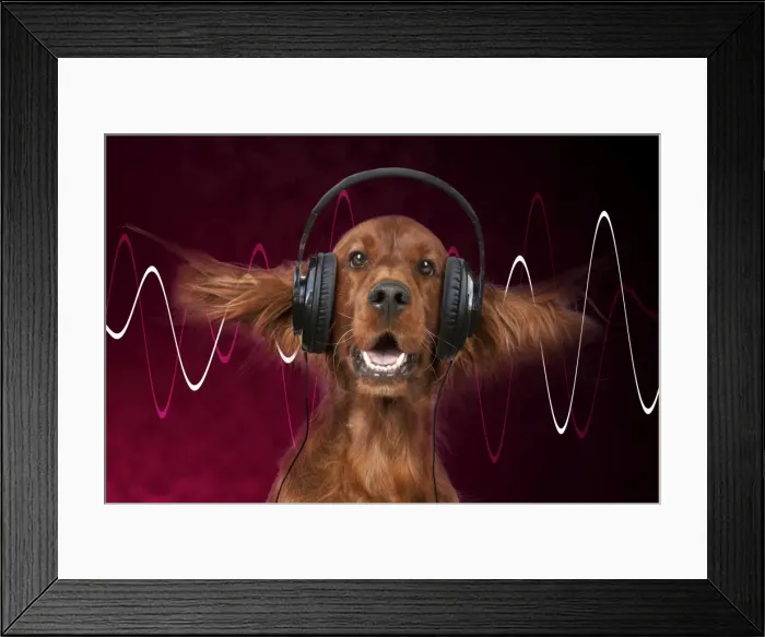 Framed Print : Picture No. 11768921 Framed Print : Picture No. 11768921