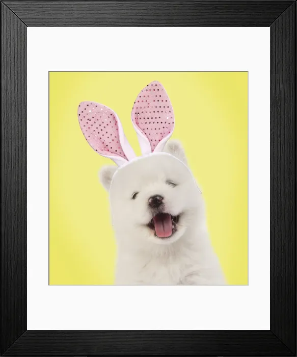 Framed Print : Picture No. 11768930 Framed Print : Picture No. 11768930