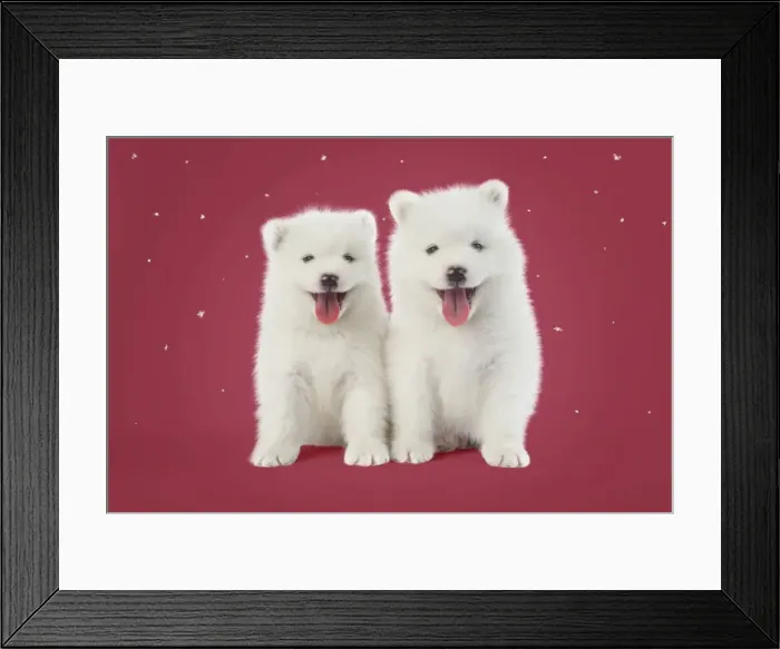 Framed Print : Picture No. 11768934 Framed Print : Picture No. 11768934