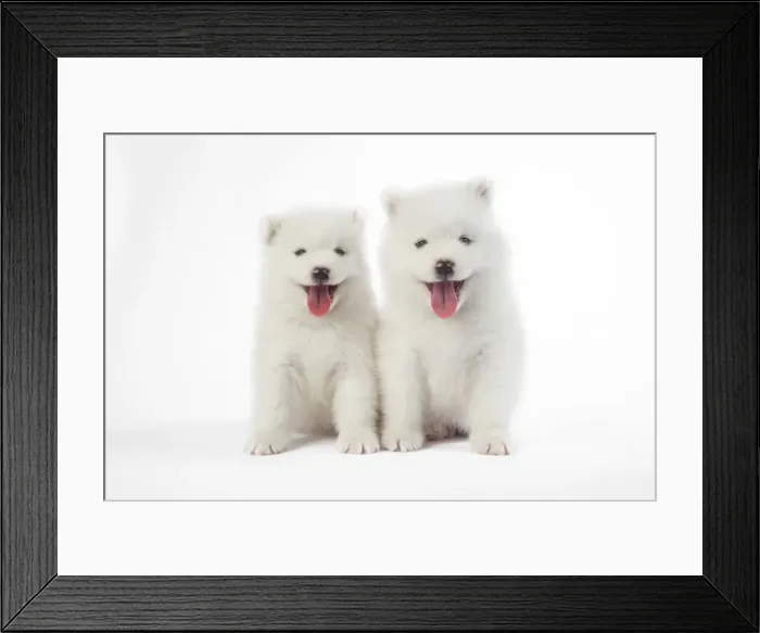 Framed Print : Picture No. 11768933 Framed Print : Picture No. 11768933