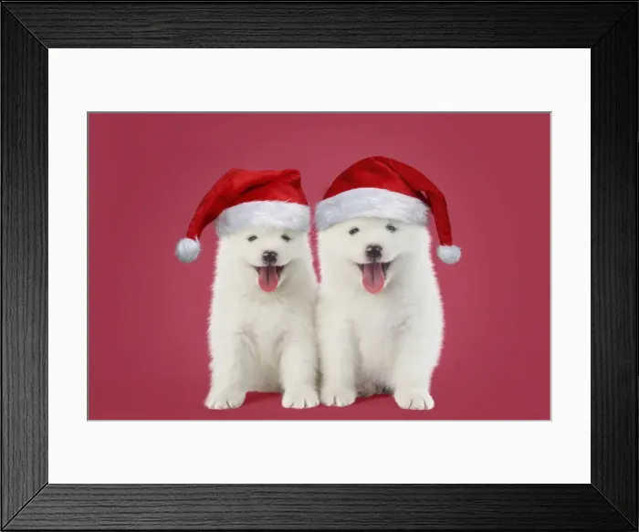 Framed Print : Picture No. 11768935 Framed Print : Picture No. 11768935