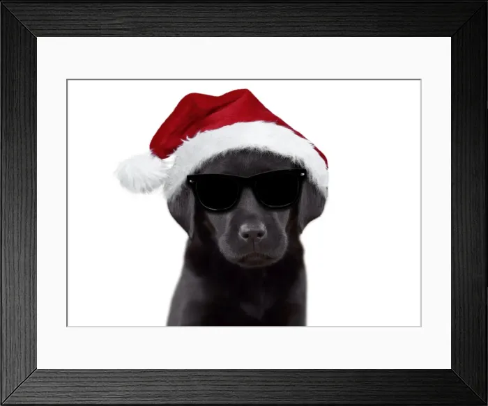 Framed Print : Picture No. 11768940 Framed Print : Picture No. 11768940