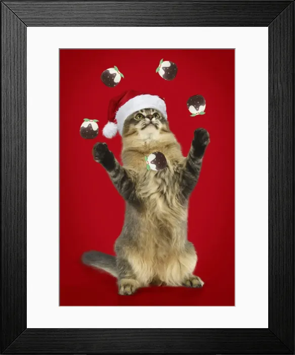 Framed Print : Picture No. 11768941 Framed Print : Picture No. 11768941