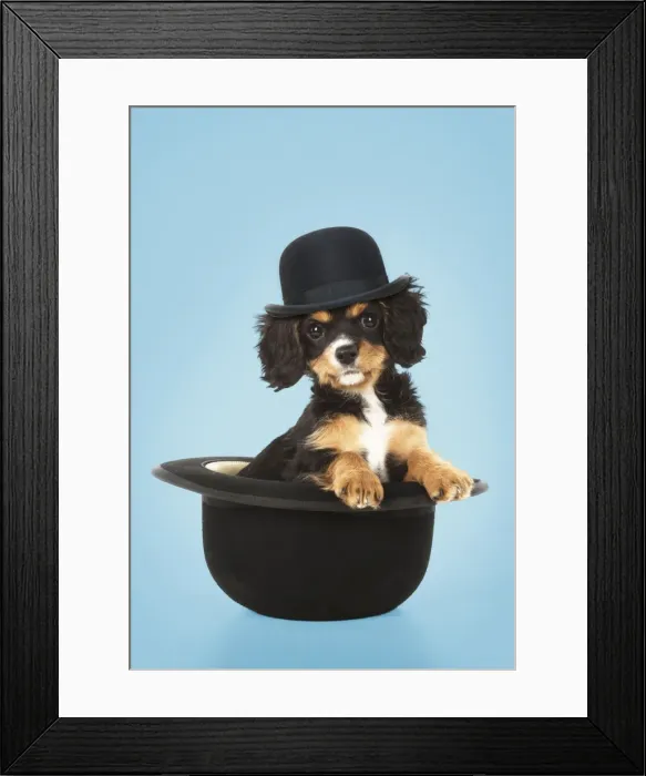 Framed Print : Picture No. 11768945 Framed Print : Picture No. 11768945
