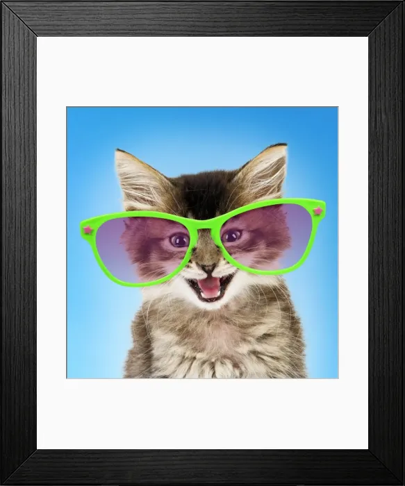 Framed Print : Picture No. 11768942 Framed Print : Picture No. 11768942