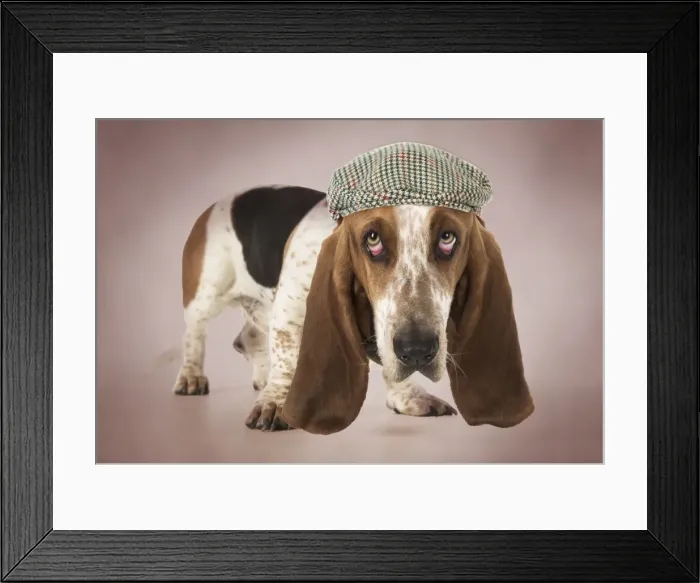 Framed Print : Picture No. 11768946 Framed Print : Picture No. 11768946