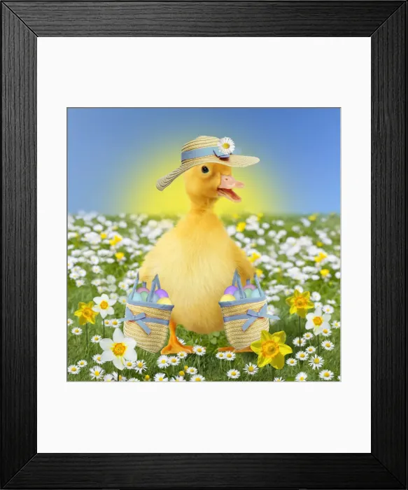 Framed Print : Picture No. 11768947 Framed Print : Picture No. 11768947