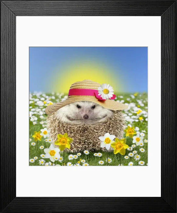Framed Print : Picture No. 11768949 Framed Print : Picture No. 11768949