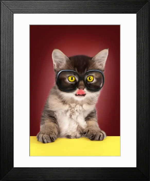 Framed Print : Picture No. 11768952 Framed Print : Picture No. 11768952