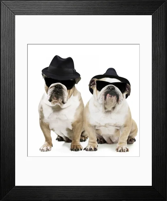 Framed Print : Picture No. 11768951 Framed Print : Picture No. 11768951